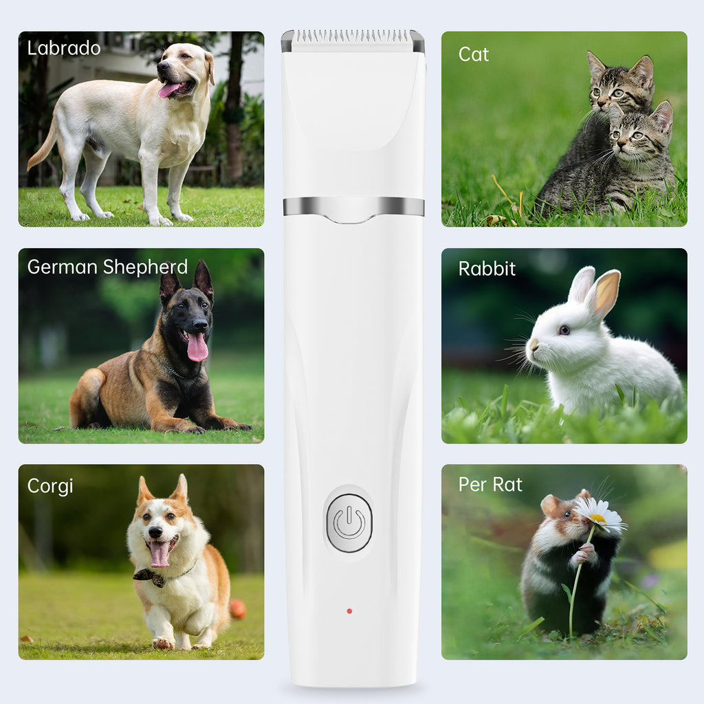 4 in 1 Dog Clippers, Low Noise Pets Hair Clipper Grooming Kit, Cordless Dog Paw Trimmers Rechargeable Quiet Nail Grinder Shaver for Dogs Cats Trimming Hair around Paws Eyes Ears Face Rump
